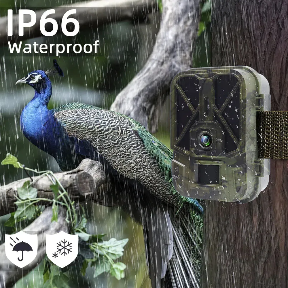 4K  30MP Live Stream WiFi Trail Camera  APP Bluetooth Hunting Cameras With 10000mAh Li-Battery Night Vision WiFi940PROLI
