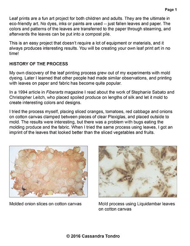 FREE - An Introduction to Leaf Prints on Paper Tutorial